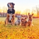 Country Crew