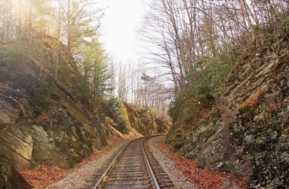 Fall train tracks