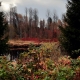  2020fallcontest