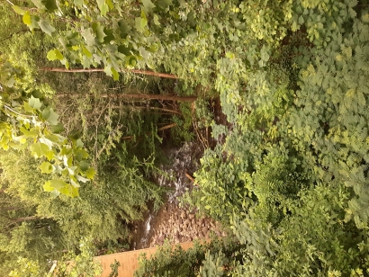 Inbound3510621775127519446