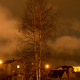 Evening in the city