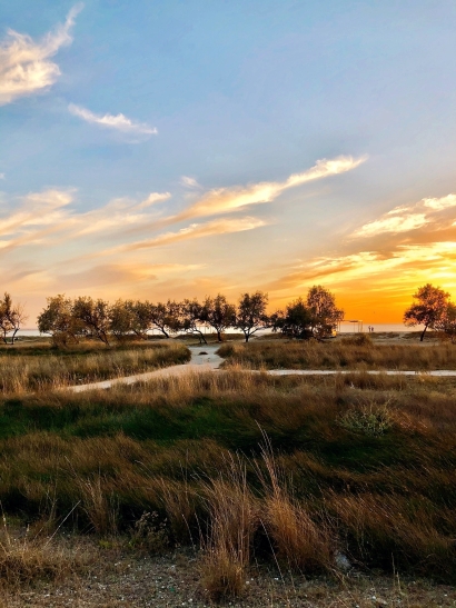 Alone with Nature