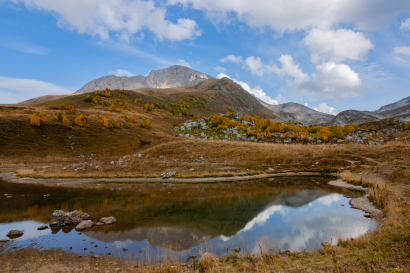Autumn