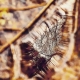 Life is in the details