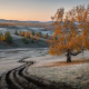 Frosty autumn morning