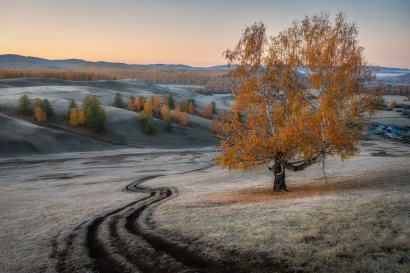 Frosty autumn morning