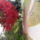 Beautiful autumn