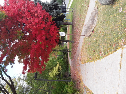 Beautiful autumn