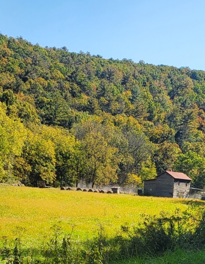 Fall is here