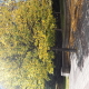 Beautiful autumn