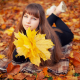 Beauty fall