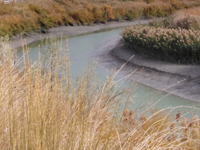 J-River