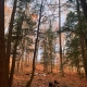 Towards the light