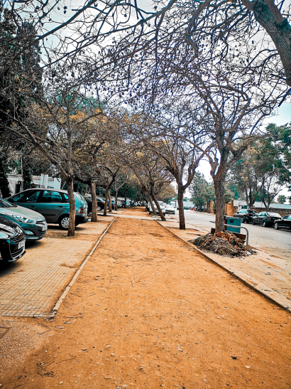 Street in autumn