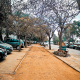 Street in autumn