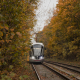 Путешествие в осень / Journey to autumn