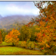 Misty View of Grandfather Mountain