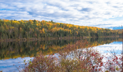 Fall colours