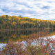Fall colours