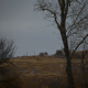 Lonely house