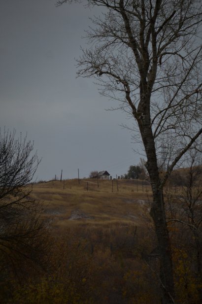 Lonely house
