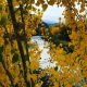 Animals river trail