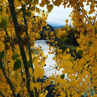 Animals river trail