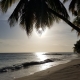 Palmset