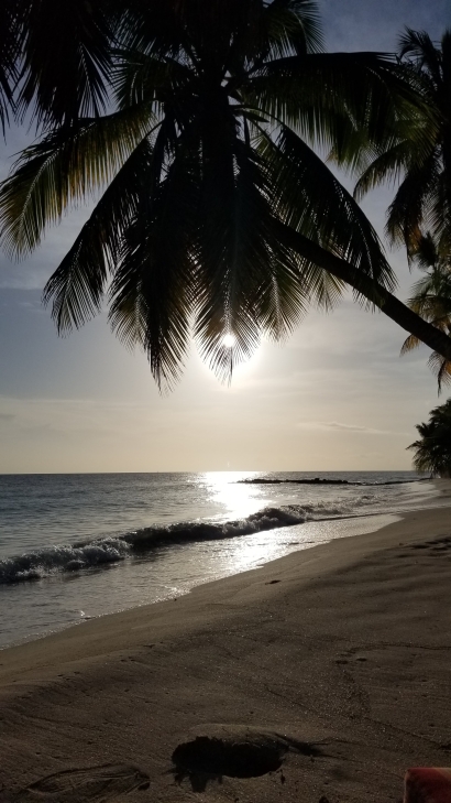 Palmset