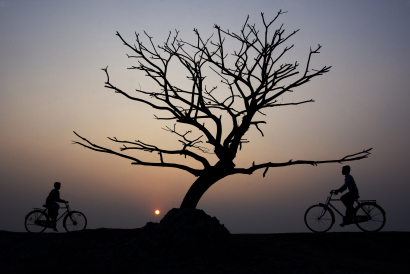 WAY BY THE LEAFLESS TREE
