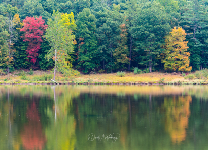 Fall Reflections