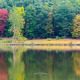 Fall Reflections