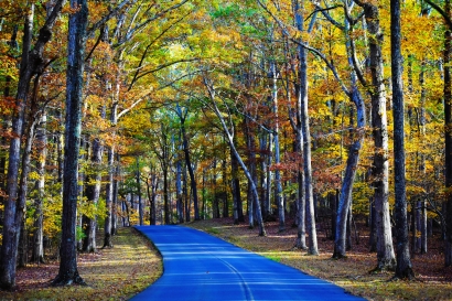 A drive through the park