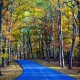 A drive through the park