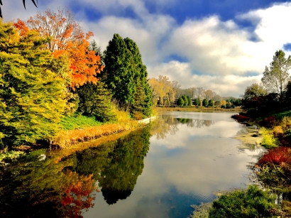 Fall Reflections