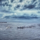 Rough sea 