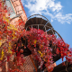 Vine wrapped spiral staircase  