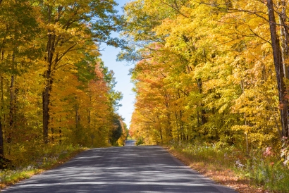 Fall Road trip