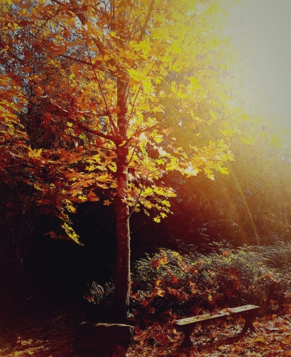 Lightly II