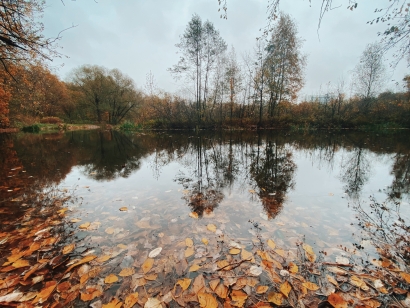 2020fallcontest