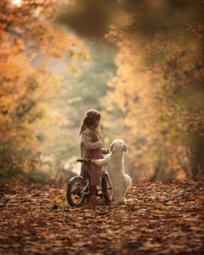 Let's enjoy autumn together