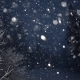 Winter wonderland