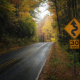 Blue Ridge Parkway Autumn 2020