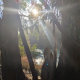 Monarch Park