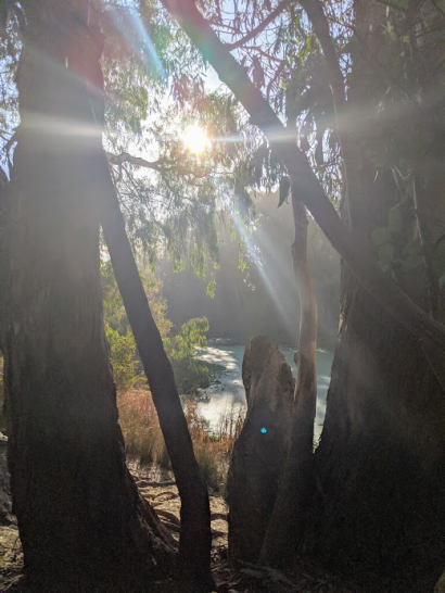 Monarch Park