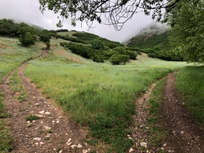 Hike it