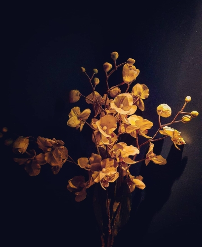 Faded beauty