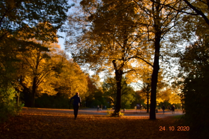 Fall landscape