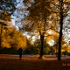 Fall landscape
