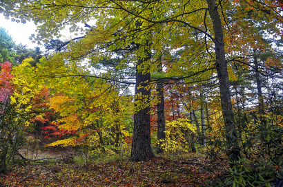 Brown Mountain Overlook Area
